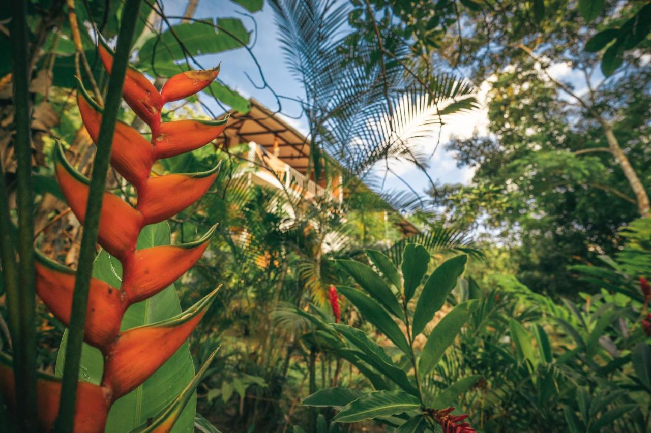 Huingos Eco Lodge Tarapoto Exterior photo
